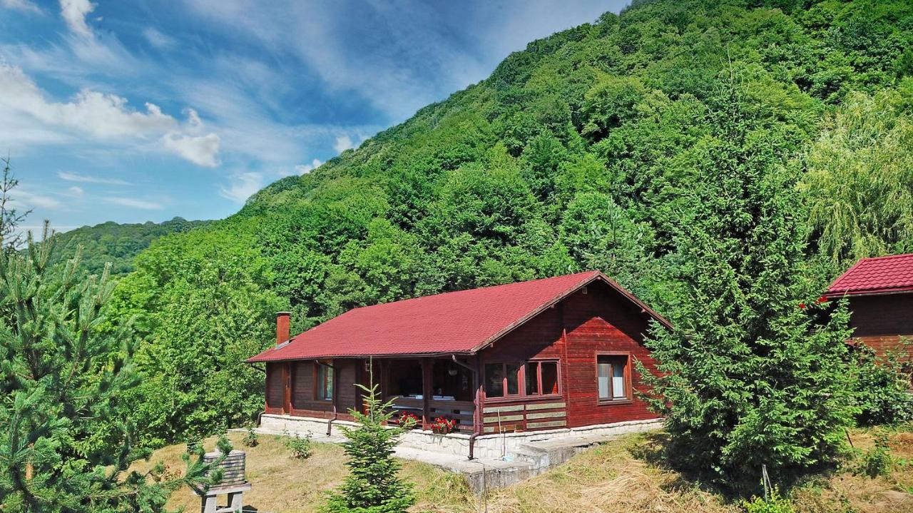 Cabana Poiana Verde Slănic-Moldova Exterior foto